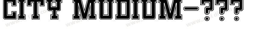 city mudium字体转换